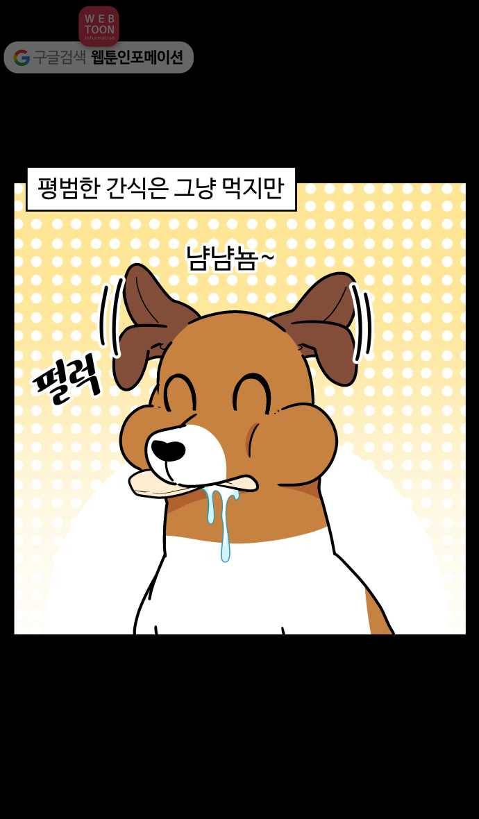 노곤하개 시즌3 38화 막맹이의 모성애 4