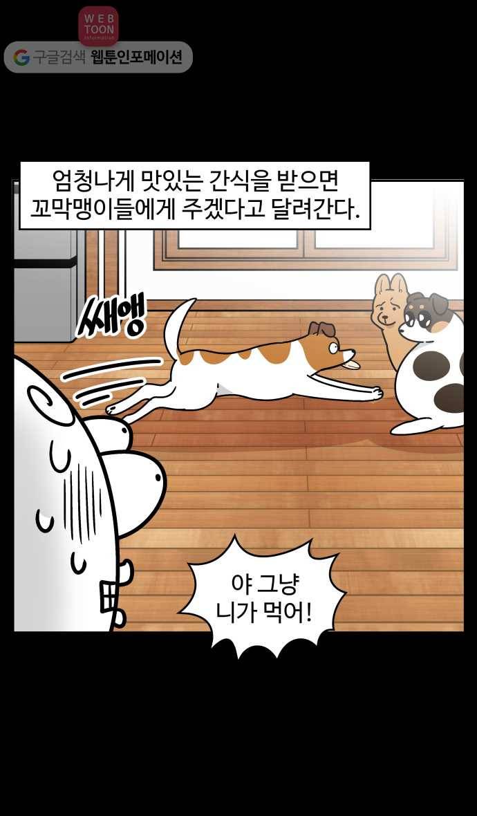 노곤하개 시즌3 38화 막맹이의 모성애 5