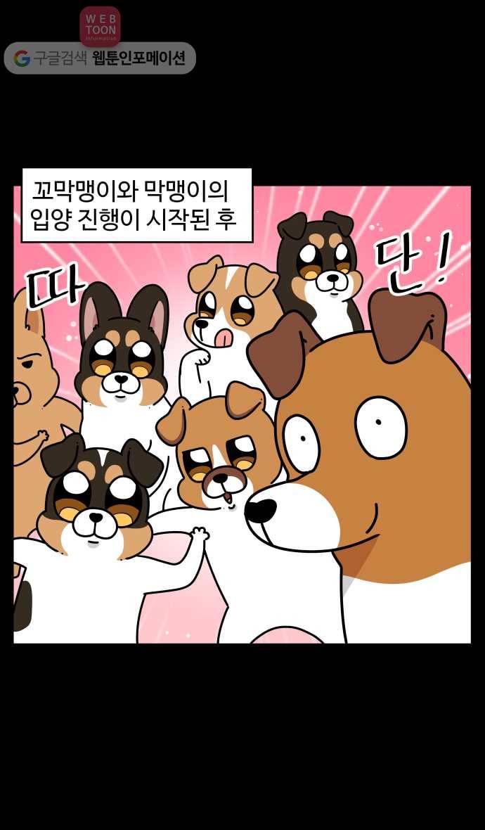 노곤하개 시즌3 48화 꼬막맹이 입양 (1) 2