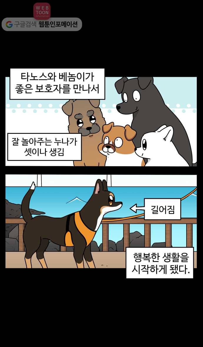 노곤하개 시즌3 48화 꼬막맹이 입양 (1) 3