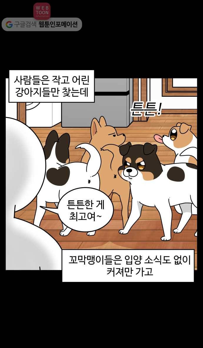 노곤하개 시즌3 48화 꼬막맹이 입양 (1) 7