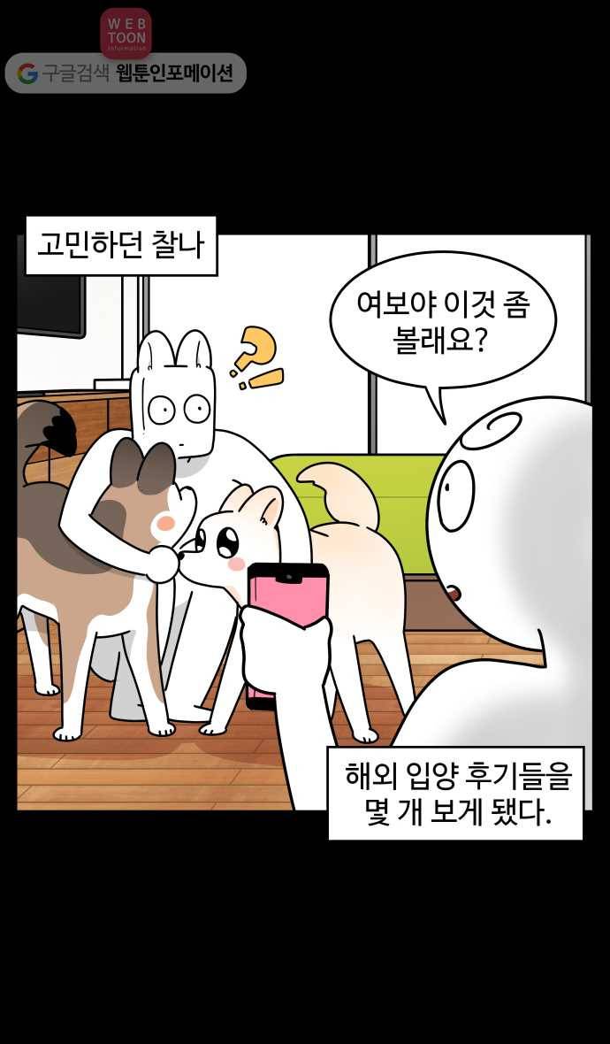 노곤하개 시즌3 48화 꼬막맹이 입양 (1) 9
