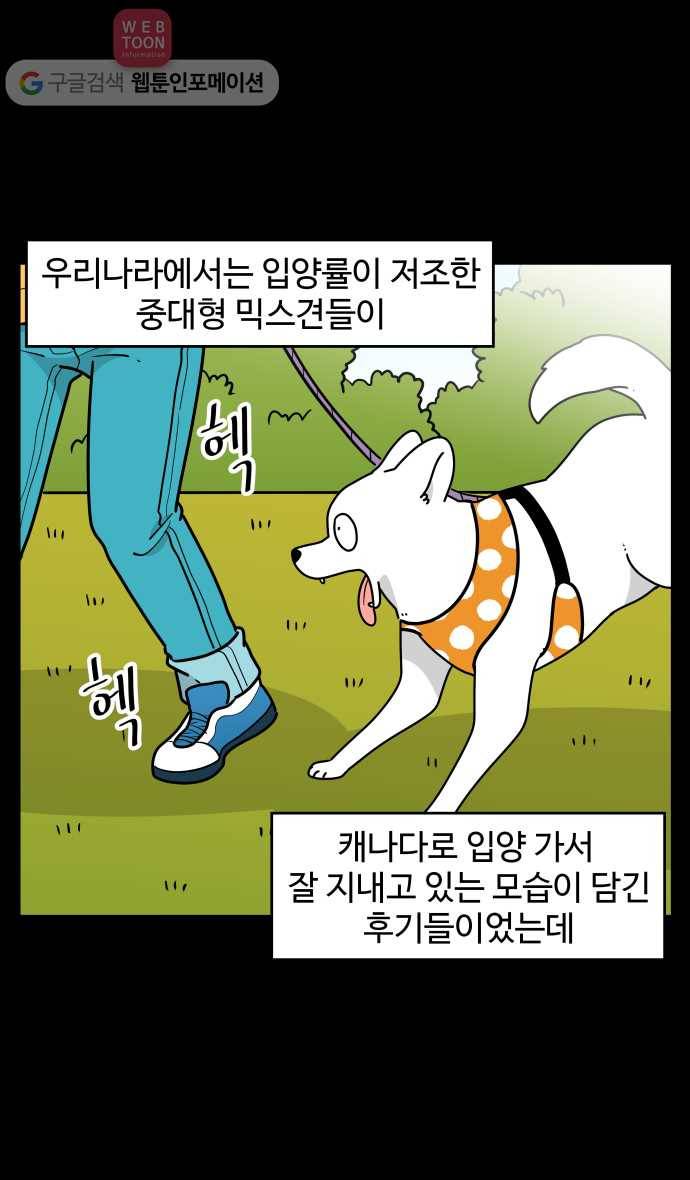노곤하개 시즌3 48화 꼬막맹이 입양 (1) 10