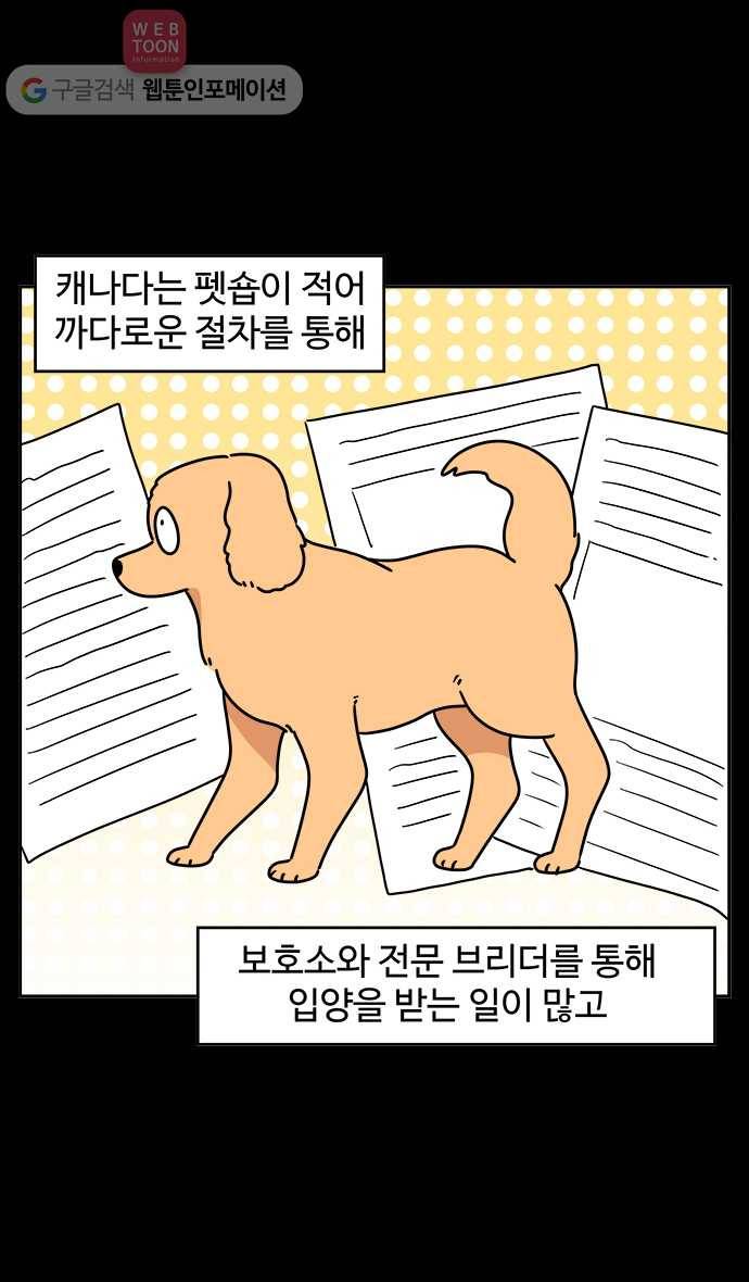 노곤하개 시즌3 48화 꼬막맹이 입양 (1) 11