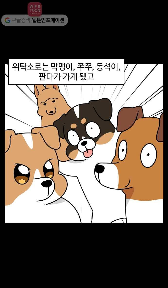 노곤하개 시즌3 48화 꼬막맹이 입양 (1) 14