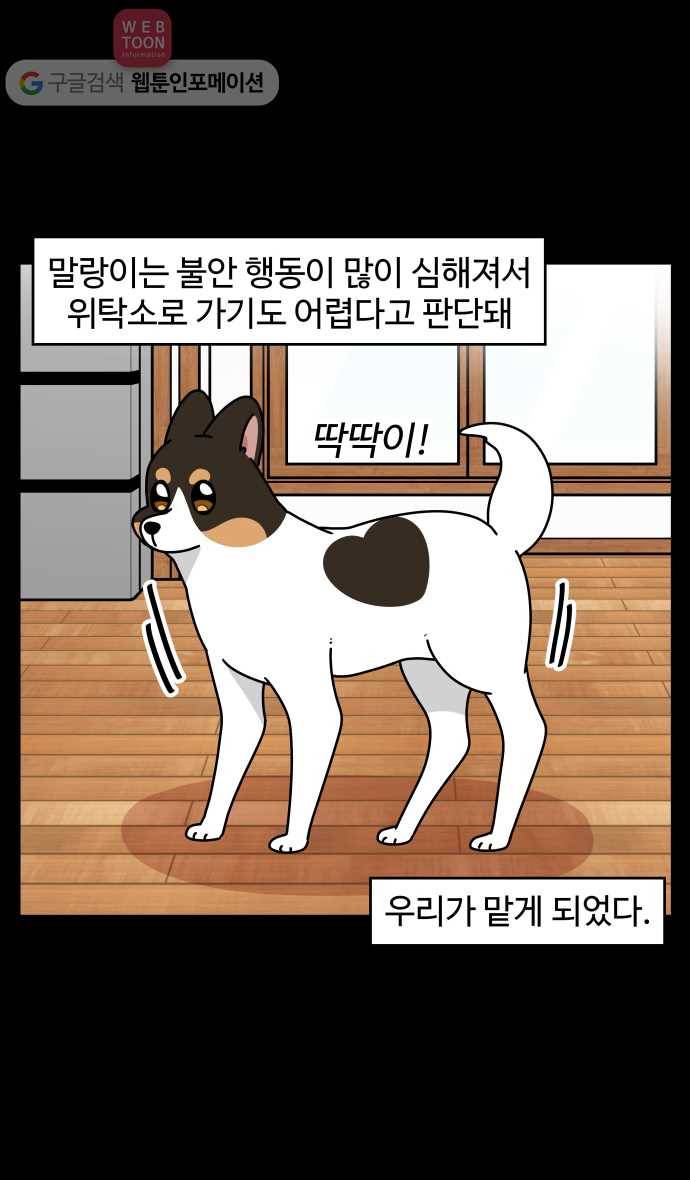 노곤하개 시즌3 48화 꼬막맹이 입양 (1) 15