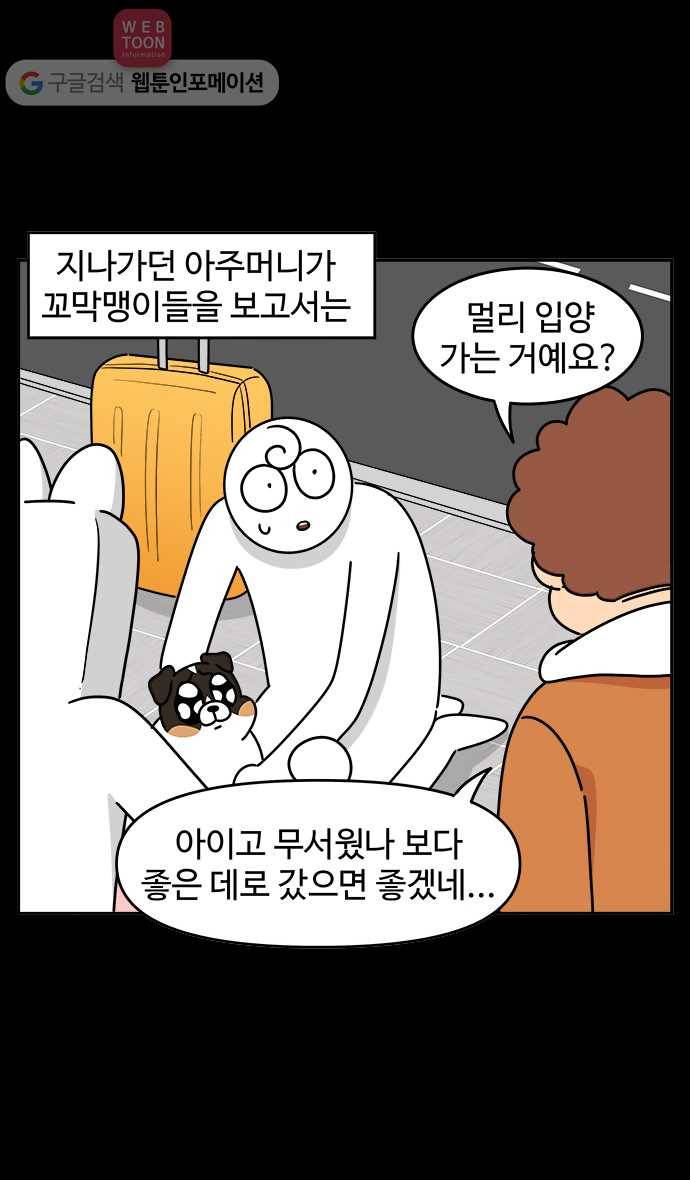 노곤하개 시즌3 48화 꼬막맹이 입양 (1) 21