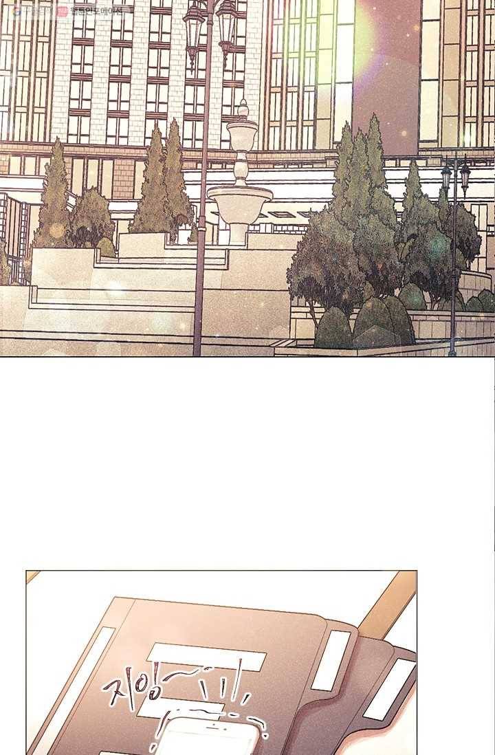 가시 뽑힌 장미 5화 2