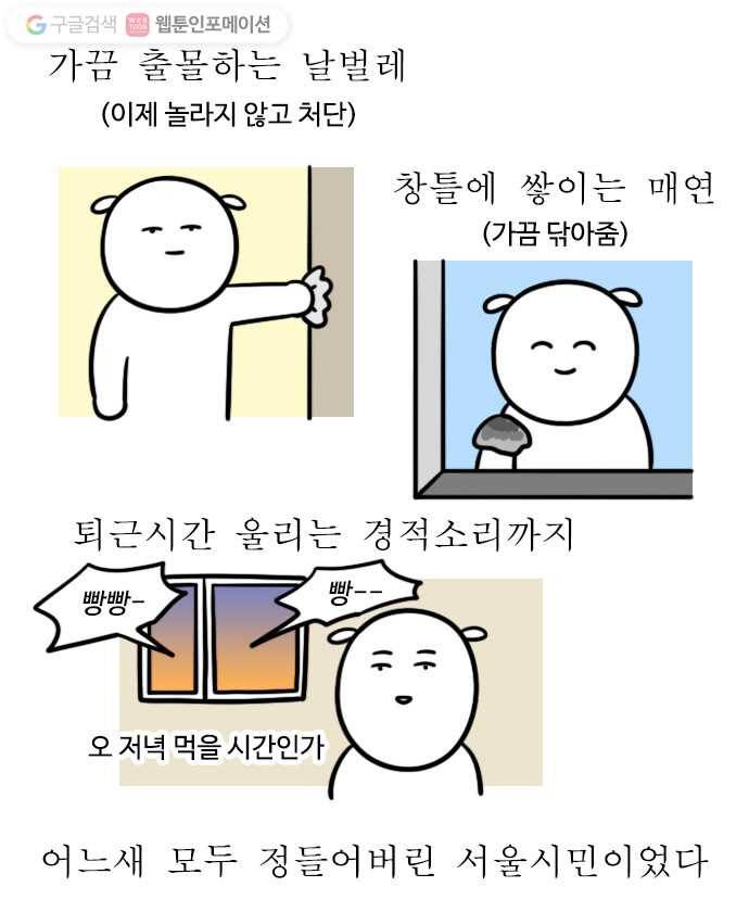 독립일기 14화 그래도 우리 집이 최고 18