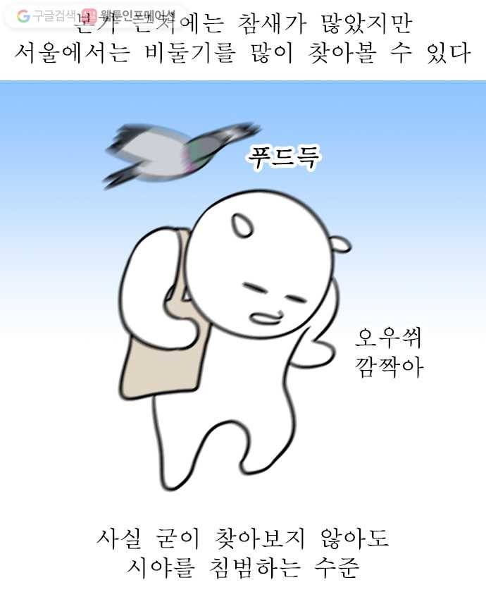 독립일기 29화 비둘기 5
