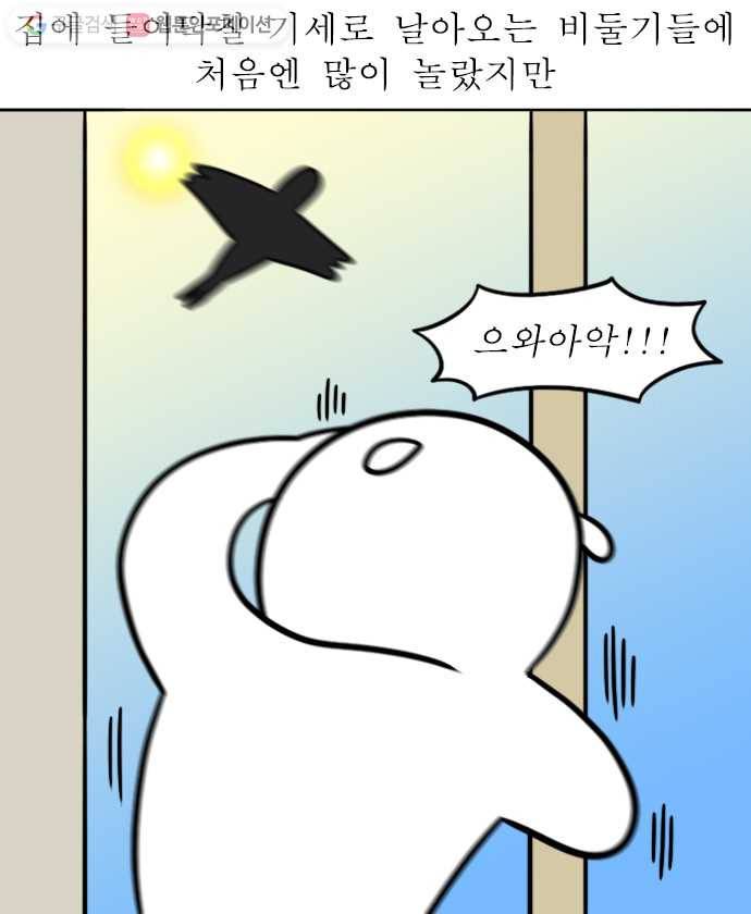 독립일기 29화 비둘기 6