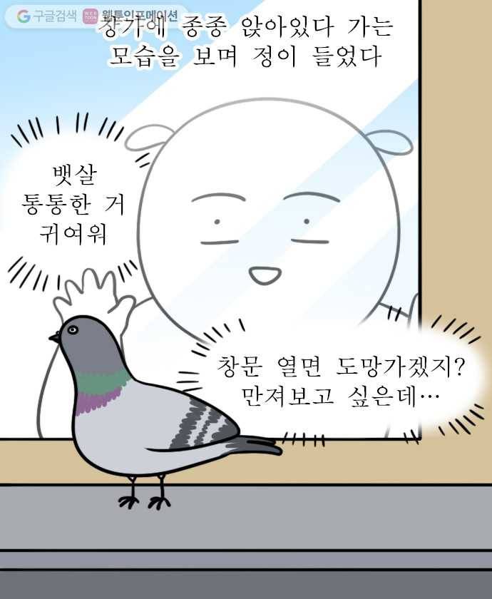 독립일기 29화 비둘기 7