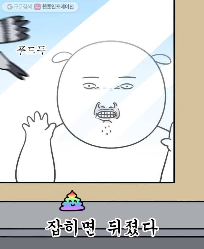 독립일기 29화 비둘기 8