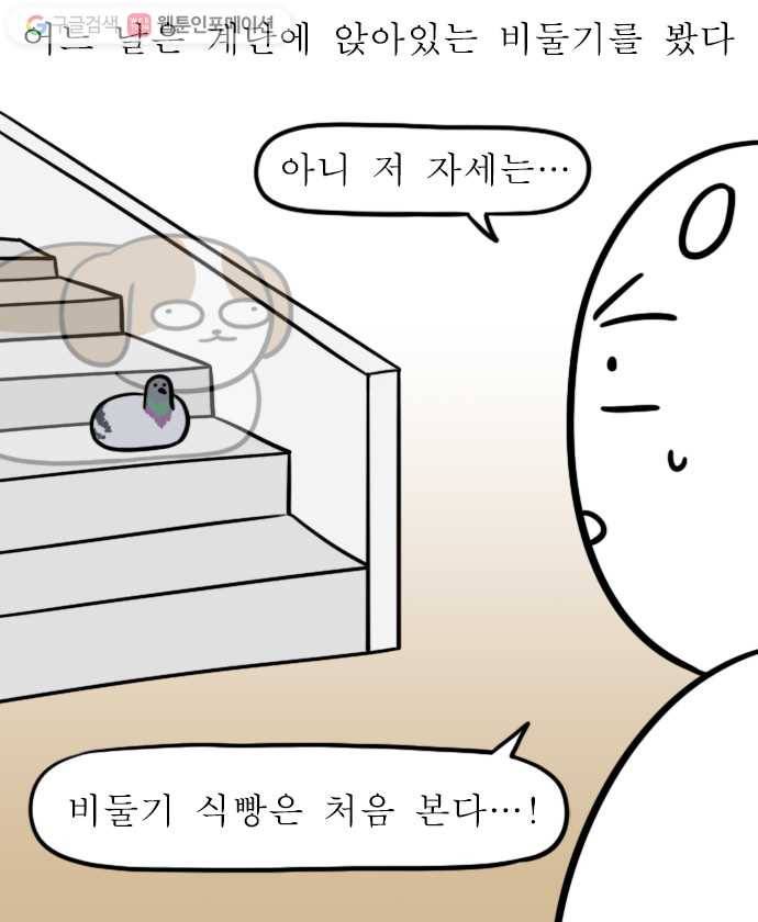 독립일기 29화 비둘기 9