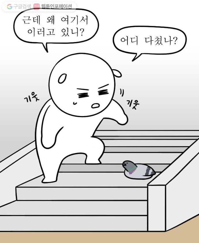 독립일기 29화 비둘기 10