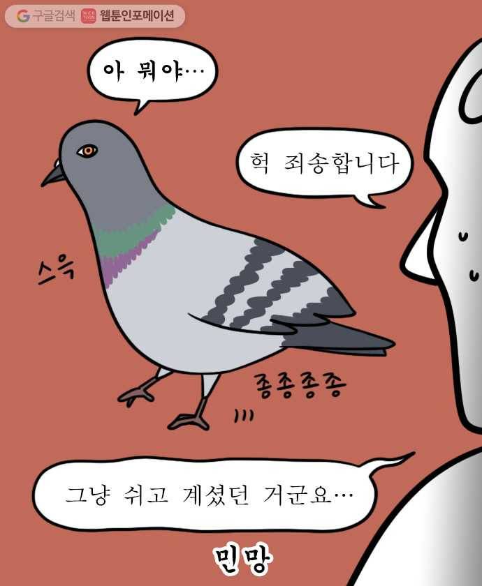 독립일기 29화 비둘기 11