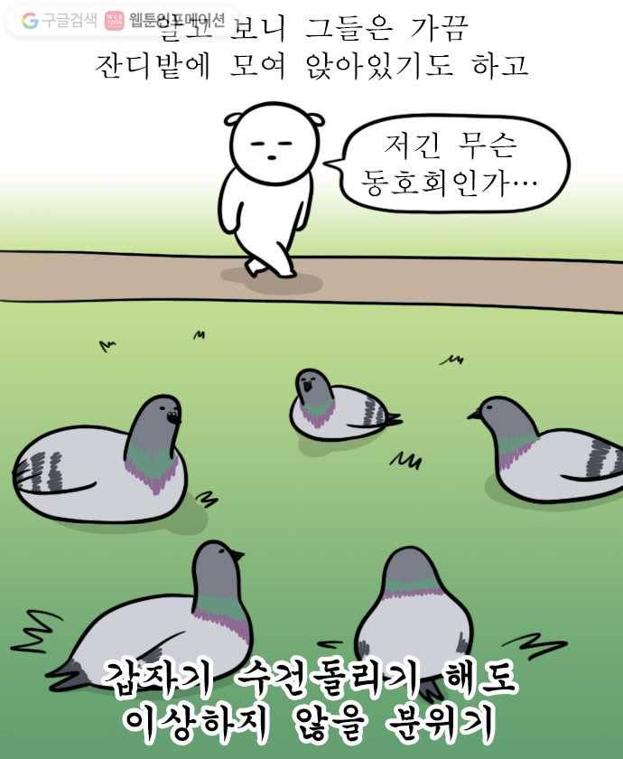독립일기 29화 비둘기 12