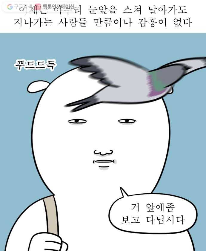 독립일기 29화 비둘기 16