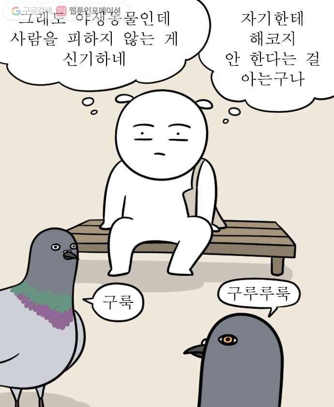 독립일기 29화 비둘기 17