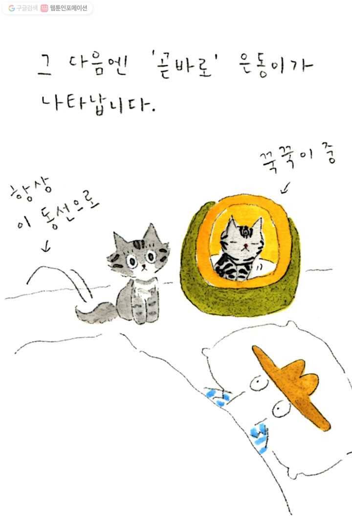 은동은동+옹동스 40화. 은동은 세 살 4