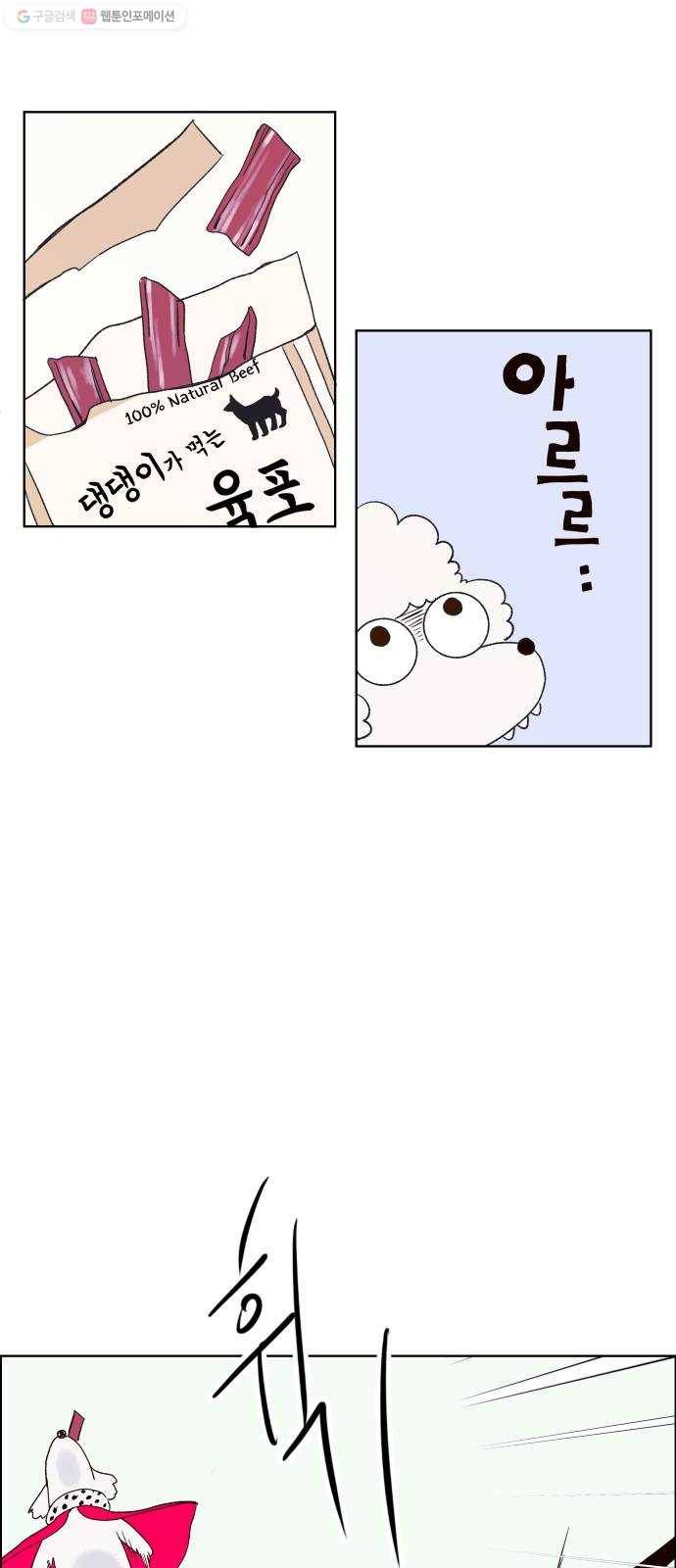 샤인 스타 EP. 8 루이 8