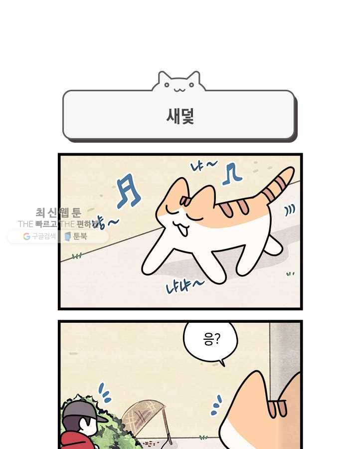 지구의 주인은 고양이다 187화 1