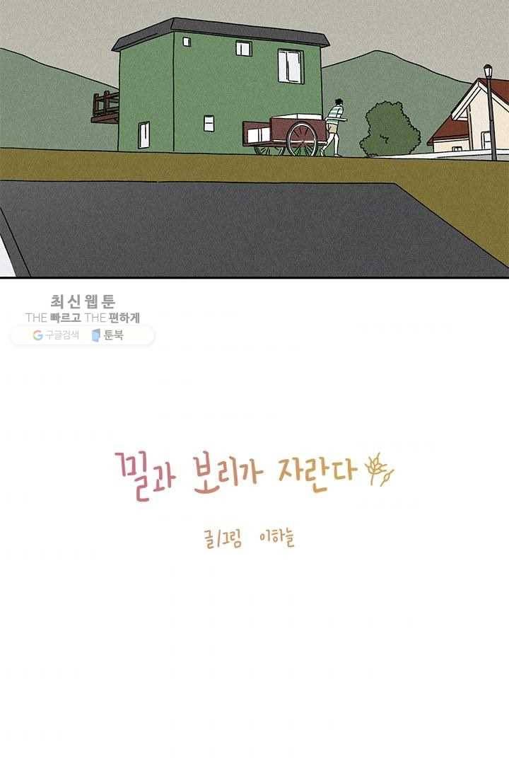 밀과 보리가 자란다 31화 3