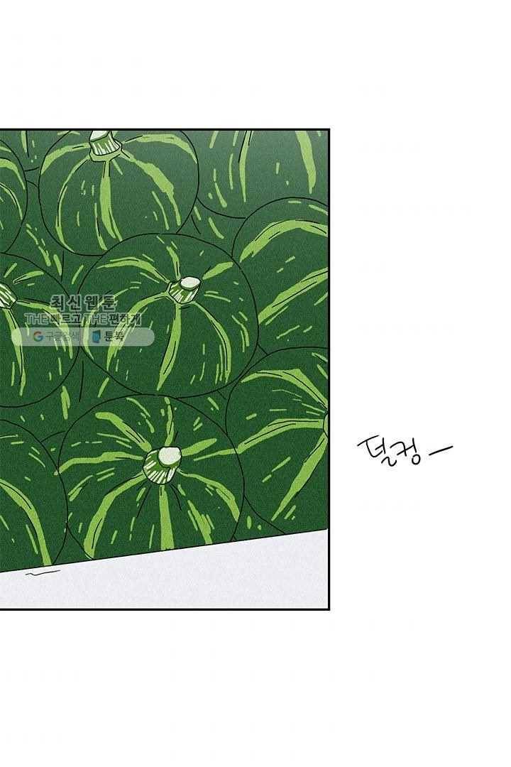 밀과 보리가 자란다 31화 4