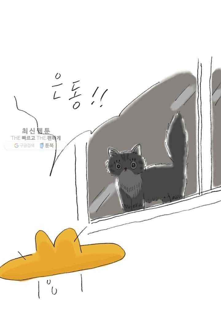 은동은동+옹동스 114화. 은동을 깜빡하다 5