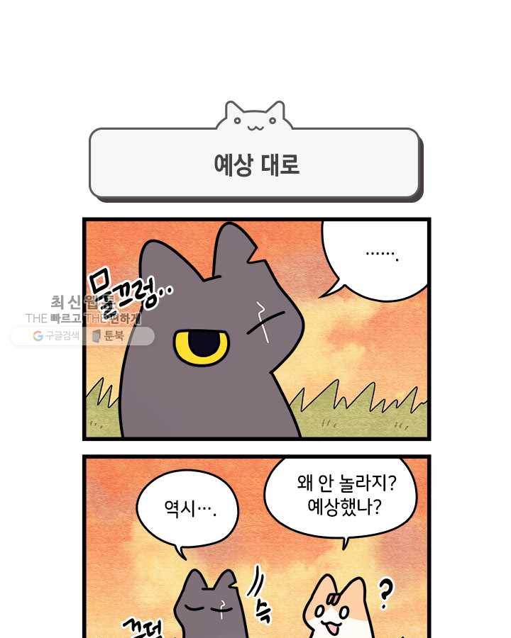 지구의 주인은 고양이다 191화 1