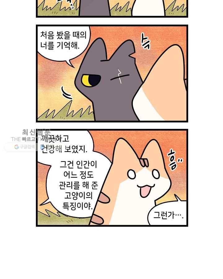 지구의 주인은 고양이다 191화 2