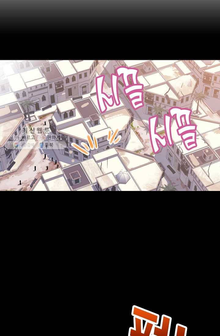 엘피스 전기:SOUL LAND 471화 51
