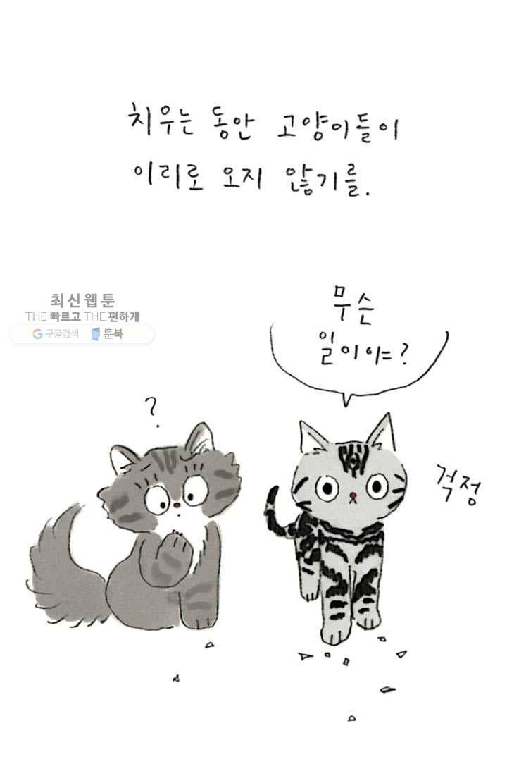 은동은동+옹동스 117화. 엄마는 그런거야 7