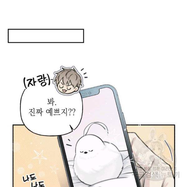엔젤 버디 51화 16