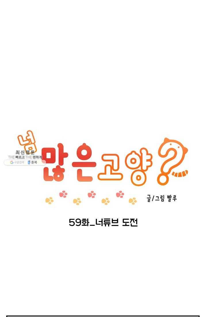 넘 많은 고양! 060화 1