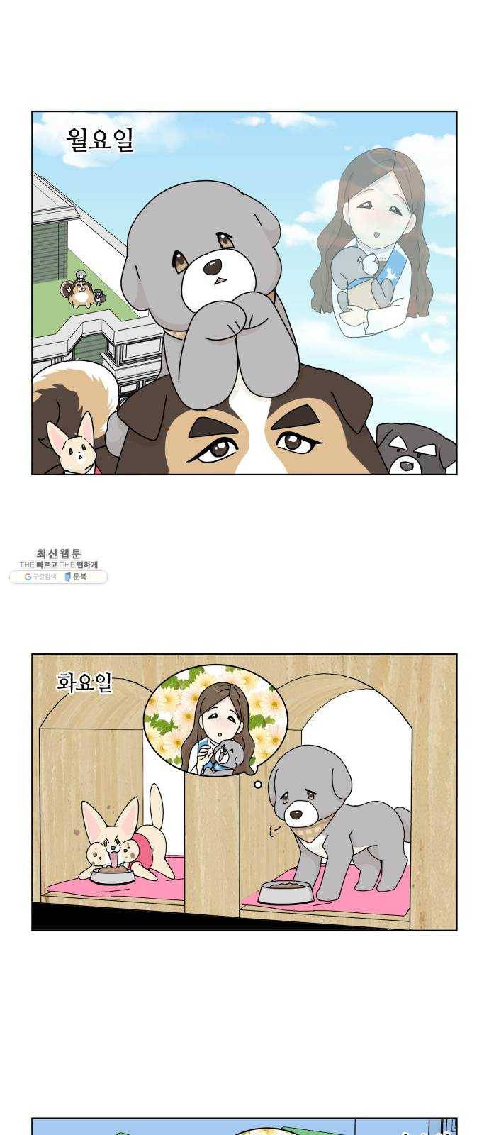 개를 낳았다 시즌2 50화 1