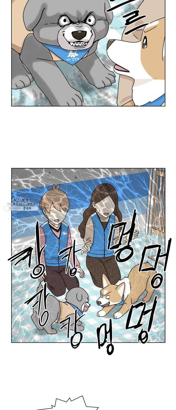개를 낳았다 시즌2 50화 7