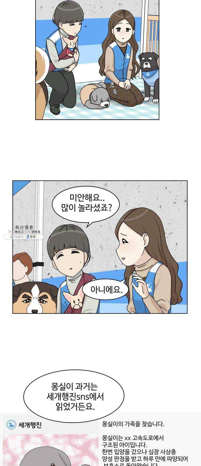 개를 낳았다 시즌2 50화 11