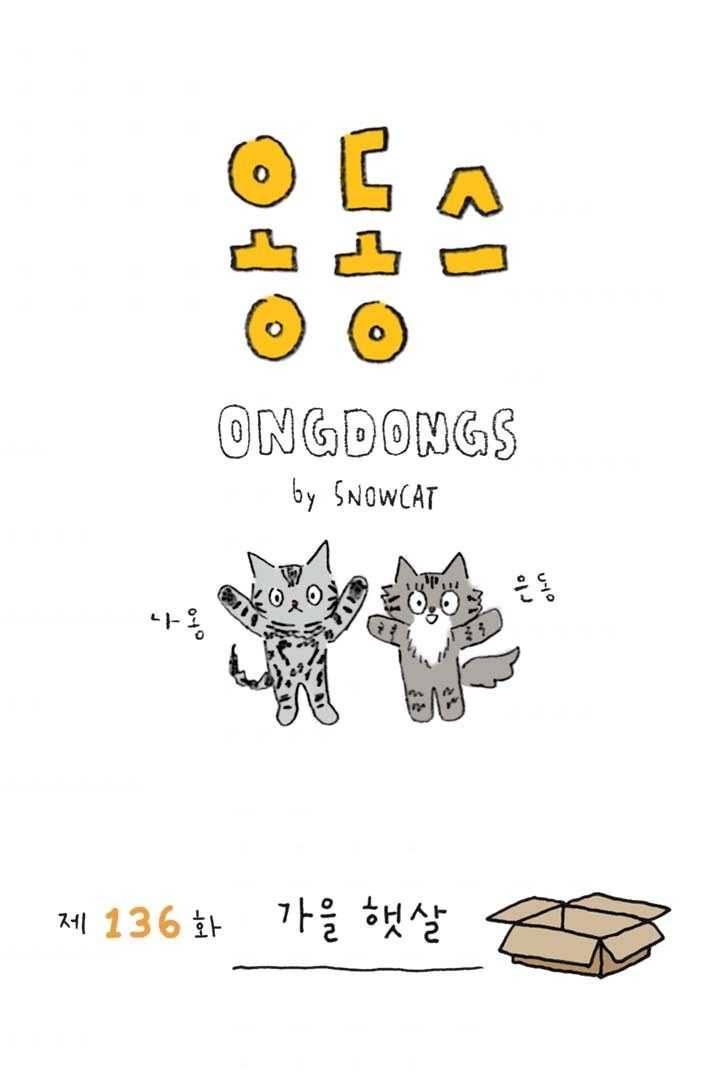 은동은동+옹동스 136화. 가을 햇살 1