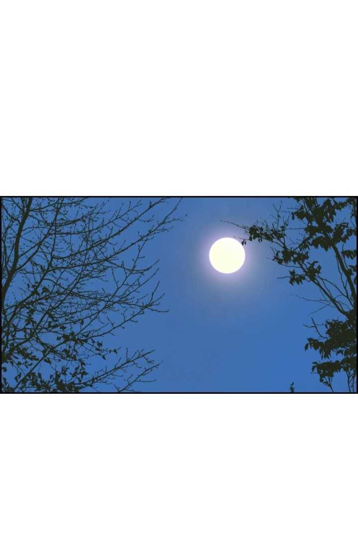 태자 전하, 한입만요 제41화 본궁에게 먼저 물었어야지 17