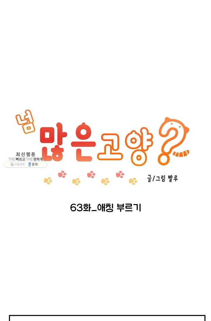 넘 많은 고양! 064화 1