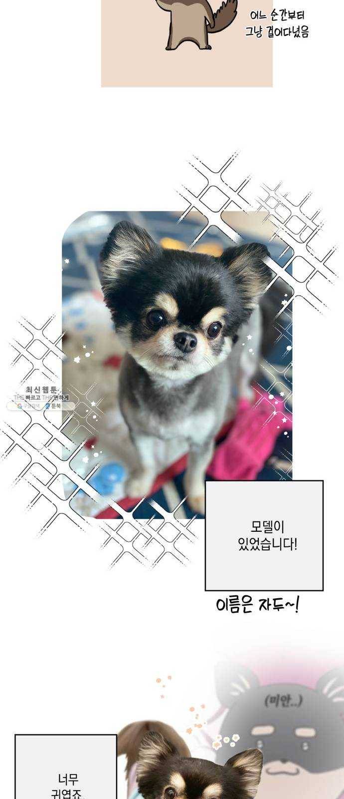 필살VS로맨스 55화. 후기 6