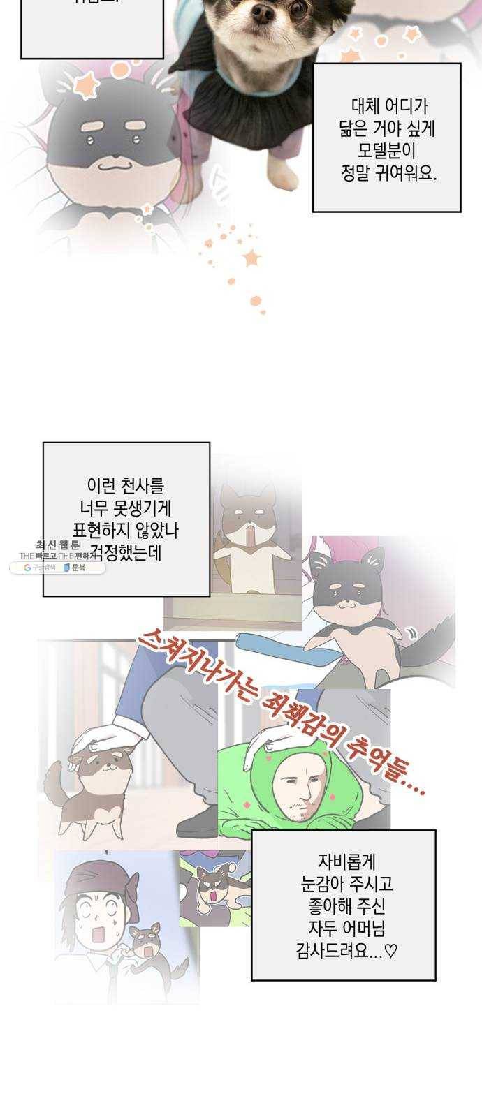 필살VS로맨스 55화. 후기 7