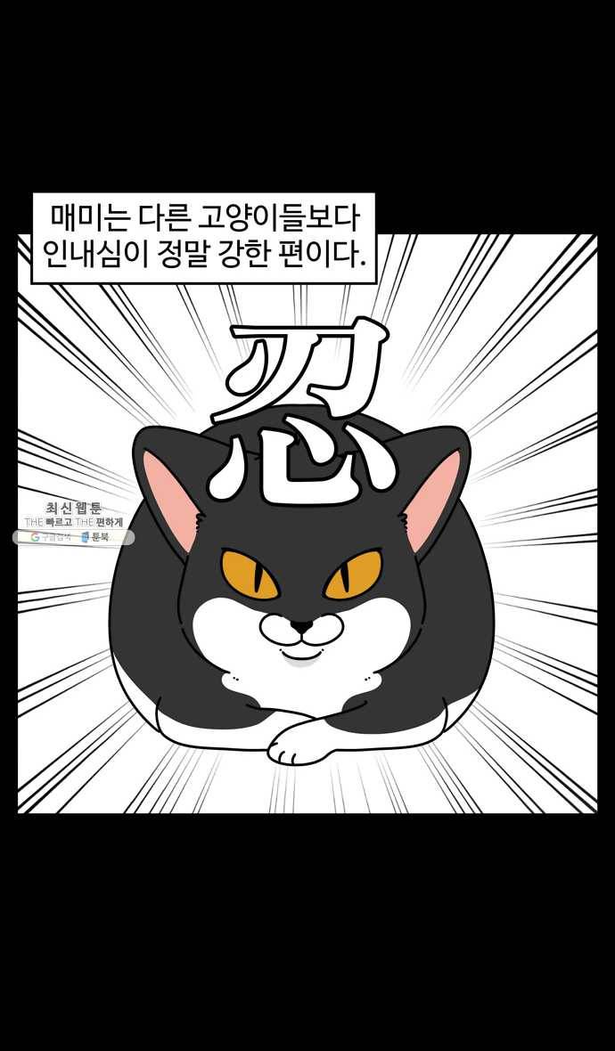 노곤하개 시즌4 46화 매미의 인내심 2