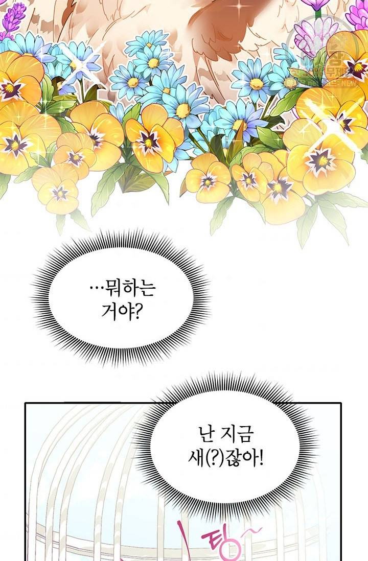 전령새 왕녀님 2화 3