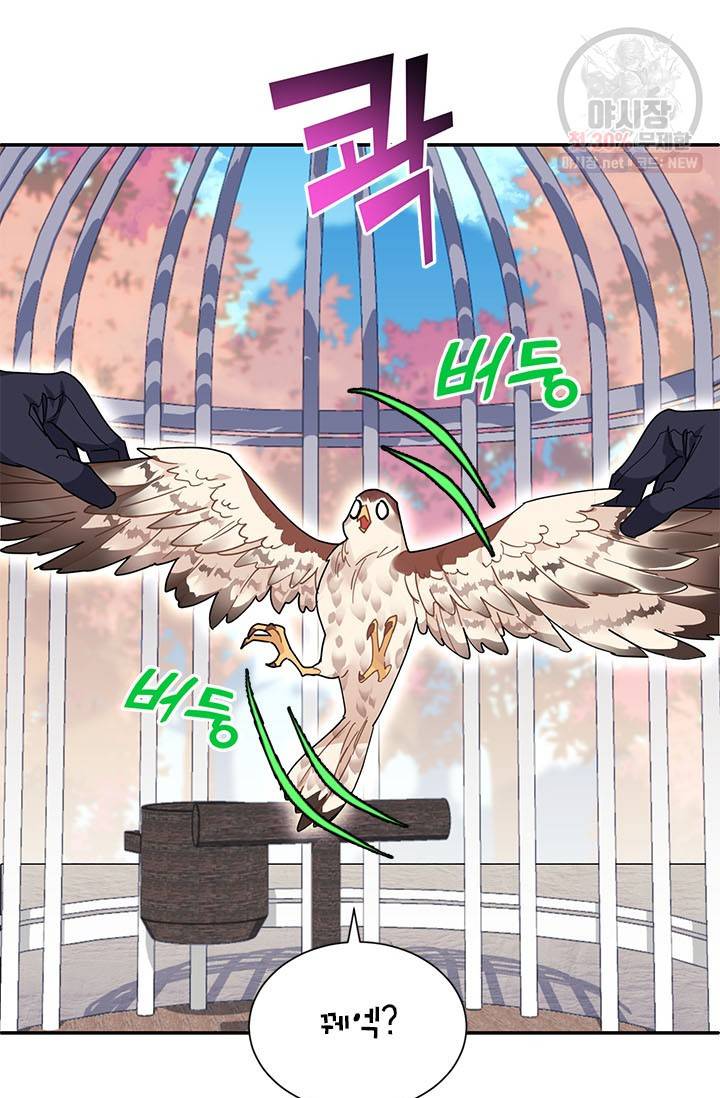 전령새 왕녀님 2화 13
