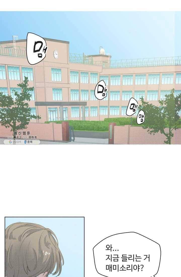 비타민C 비타민D 3화 1
