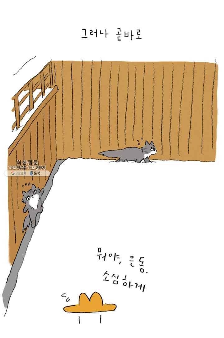 은동은동+옹동스 151화. 눈고양이 5