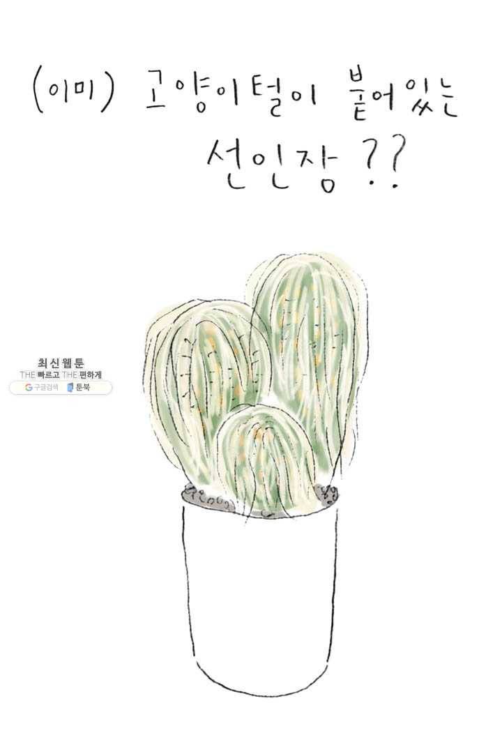 은동은동+옹동스 157화. 고양이 선인장 4
