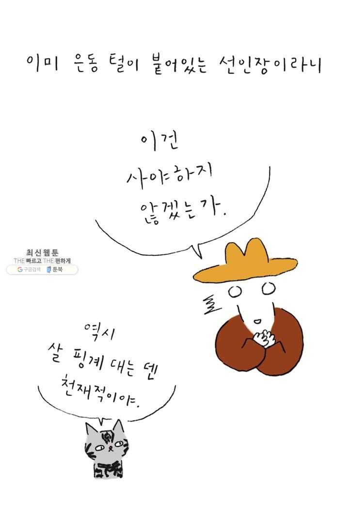 은동은동+옹동스 157화. 고양이 선인장 7